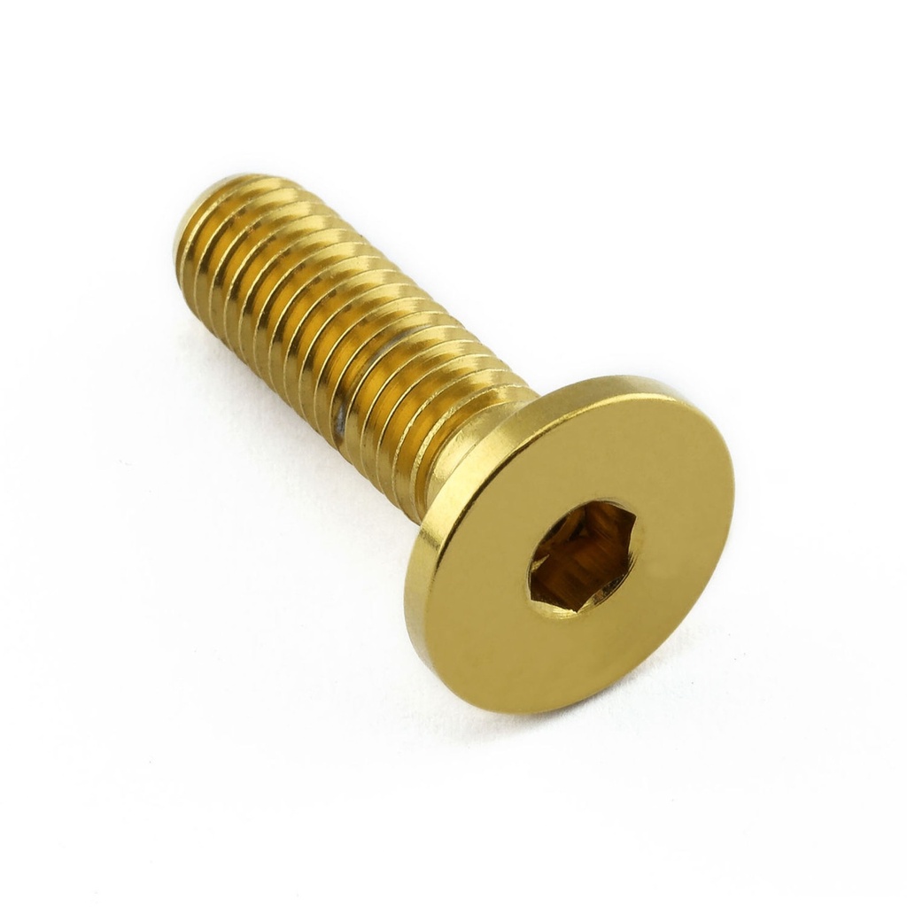 [AWFSSFTMON60G] Pro-Bolt Stainless Steel Fuel Tank Mounting Bolt Kit