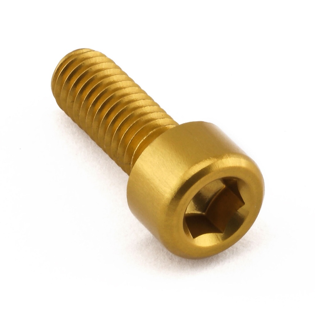 [AWFTHO120G] Pro-Bolt Aluminium Fuel Tank Cap Bolt Kit