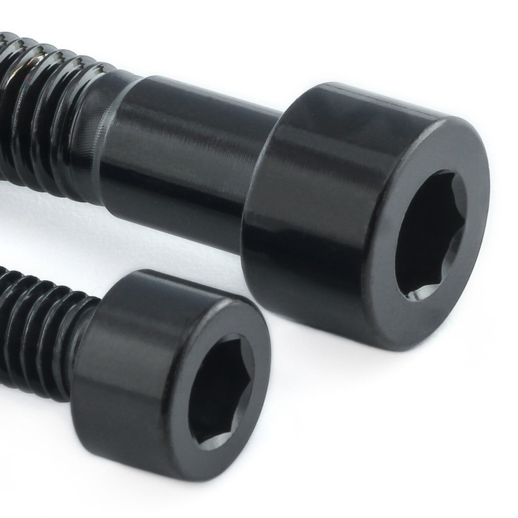 Pro-Bolt Stainless Steel Fuel Tank Cap Bolt Kit