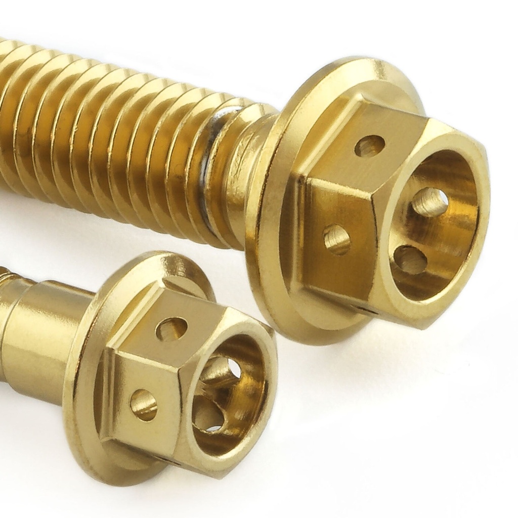 Pro-Bolt Stainless Steel Chain Guard & Rail Bolt Kit
