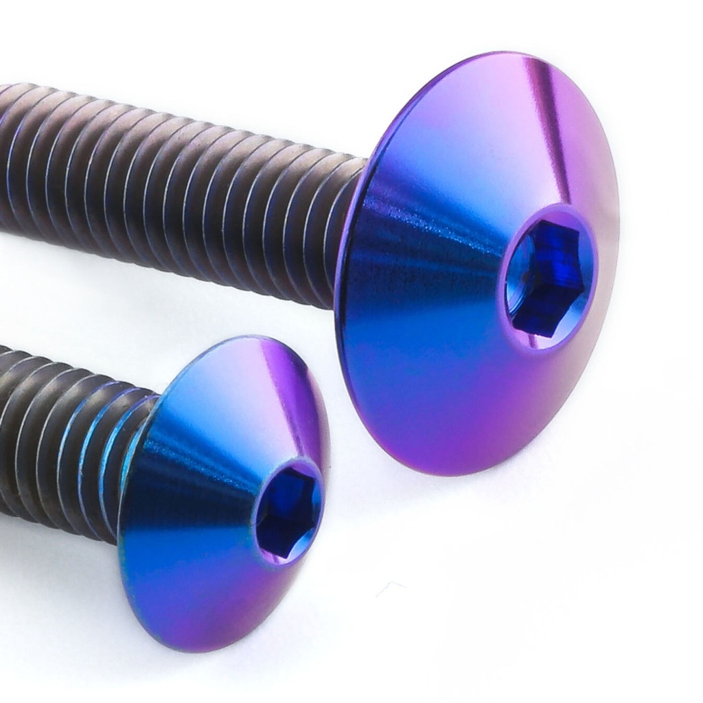 [AWFSKHO280TIP] Pro-Bolt Titanium Screen Bolt Kit