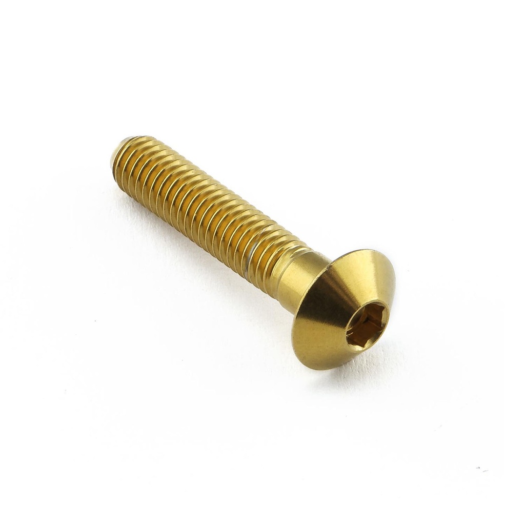 Pro-Bolt Stainless Steel Frame Guard Mount Bolt Kit
