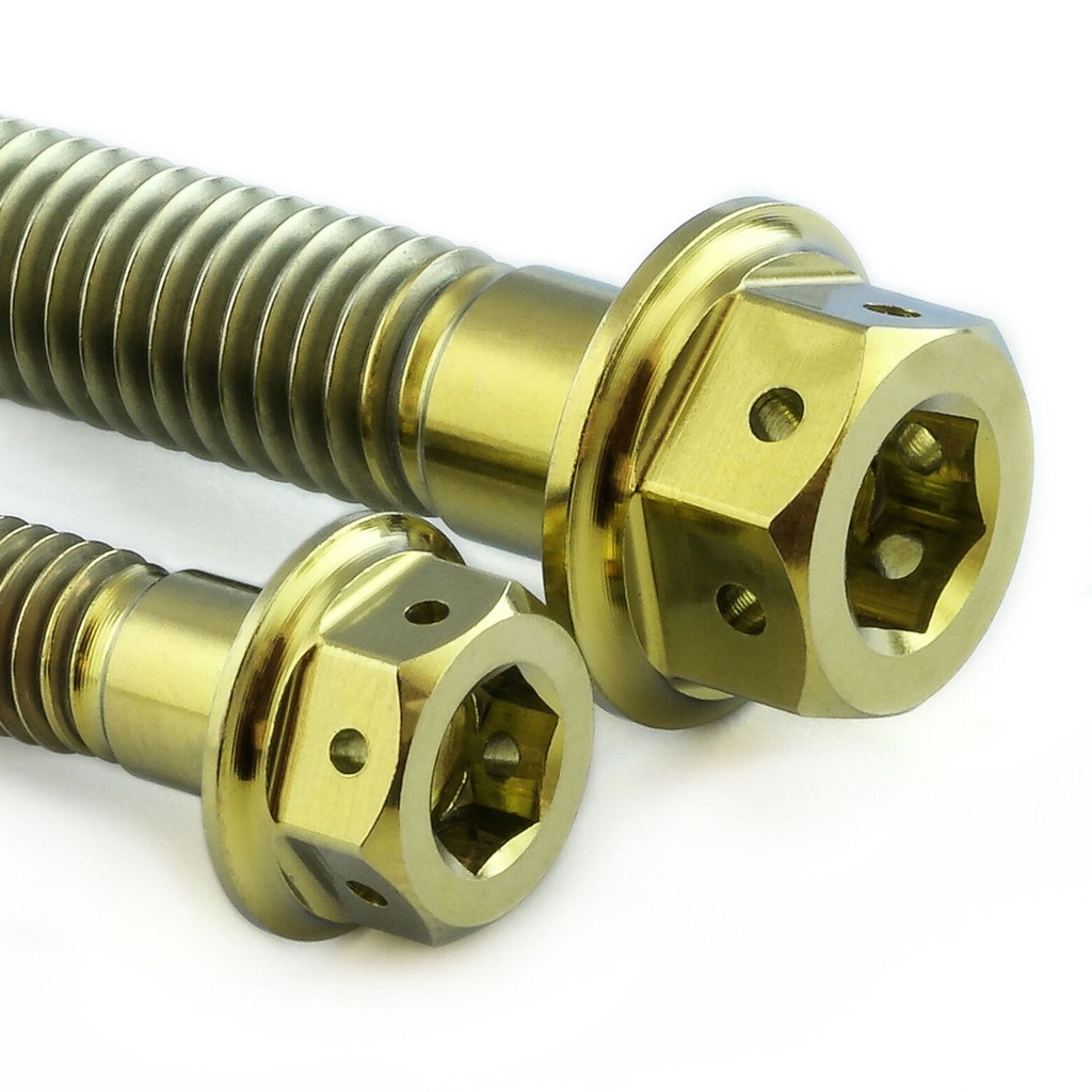Pro-Bolt Titanium Engine Mounting Bolt Kit